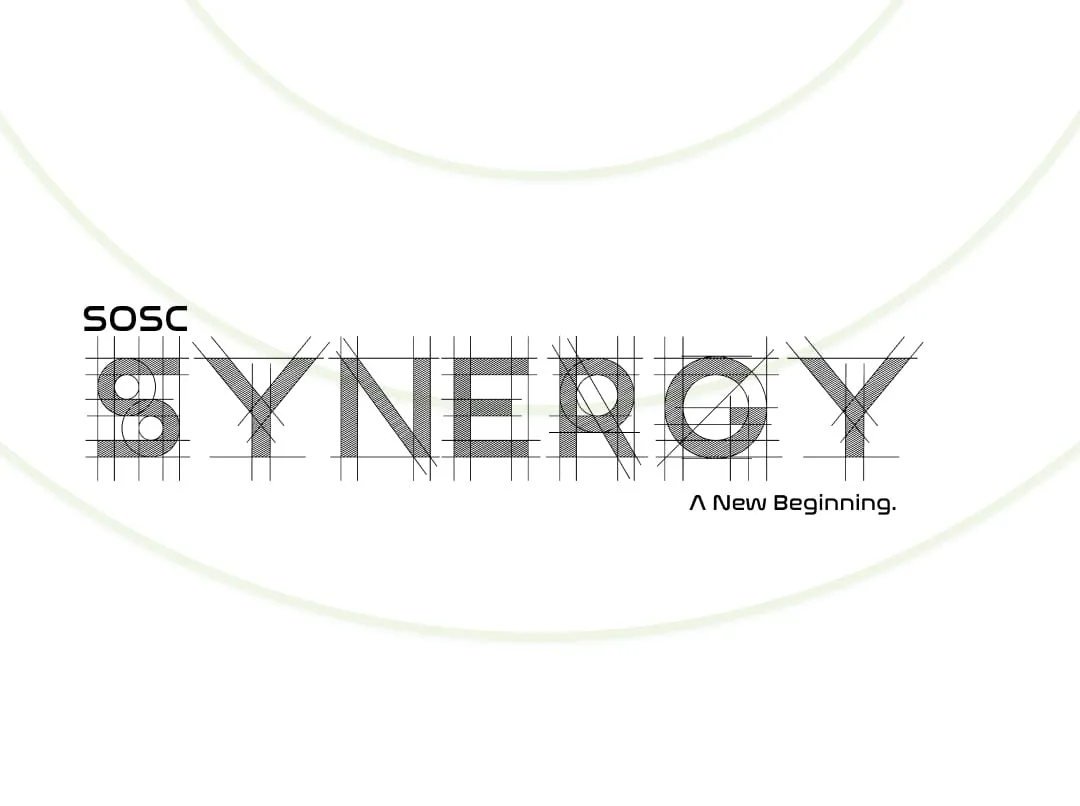 Synergy - Induction Programme